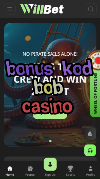 bonus kod bob casino-asdasdzhjkds.com